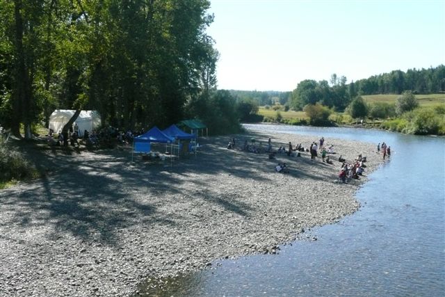 Salmon Festival